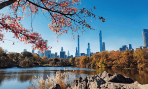 Circuit : New York